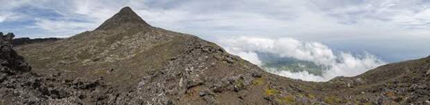 Pico