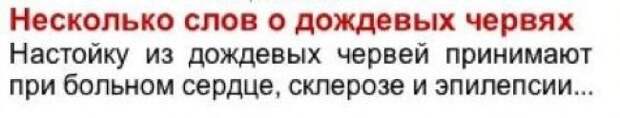 Народная мудрость. Настоящее торжество маразма!