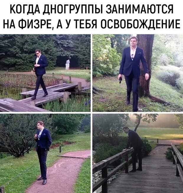 понасенков гуляет по парку мем