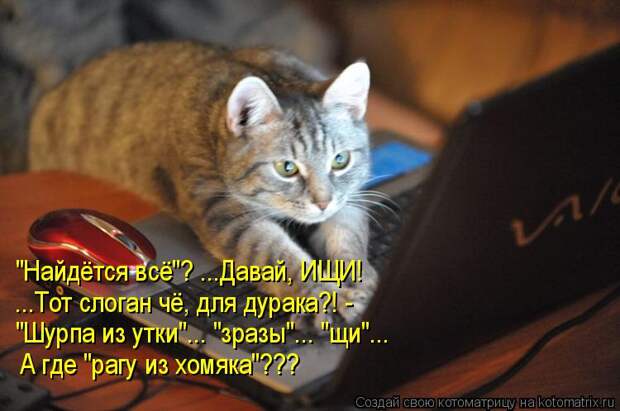 Котоматрица: "Найдётся всё"? ...Давай, ИЩИ! ...Тот слоган чё, для дурака?! - "Шурпа из утки"... "зразы"... "щи"...  А где "рагу из хомяка"???