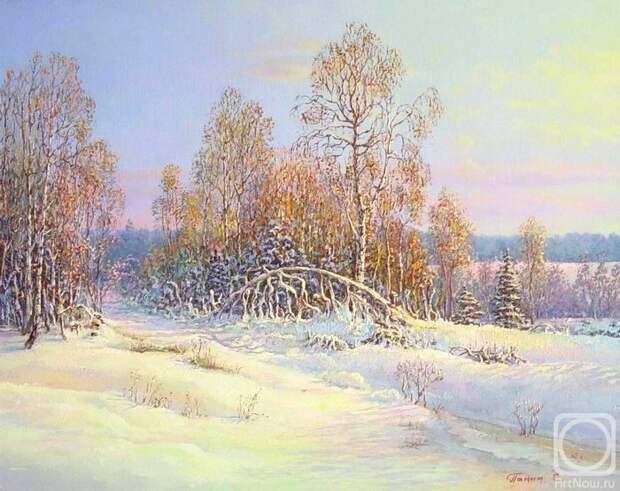 Зима в Царицыно (700x555, 235Kb)