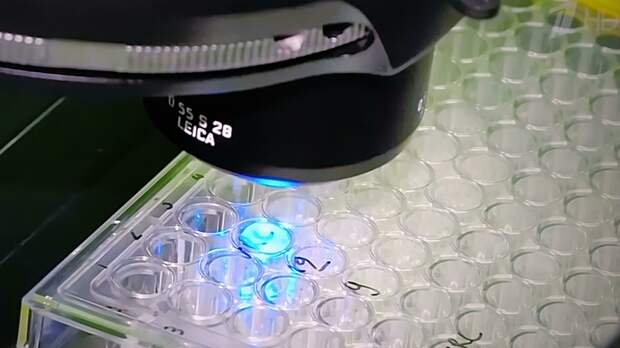 Потянулись к Москве за дозами: Дипломаты США попросили вакцину "Спутник V"