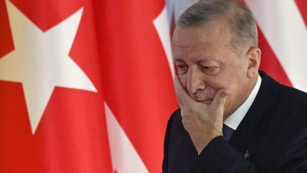 Эрдоган озвучил условия одобрения заявки Швеции и Финляндии в НАТО