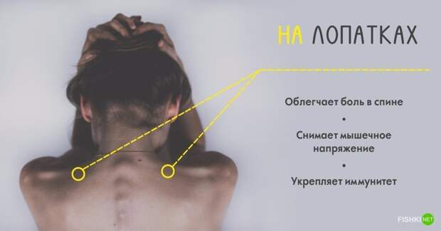 Массаж лучше делать регулярно, ведь организм - это слаженная система, которая работает, как часы долголетие, массаж, тело, точки на теле