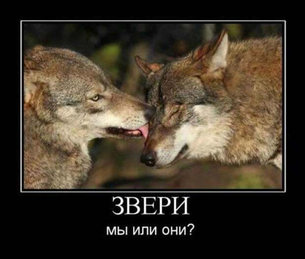 Демотиваторы со смыслом