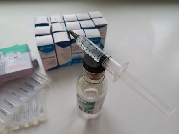 В Поморье клещи покусали уже 137 человек