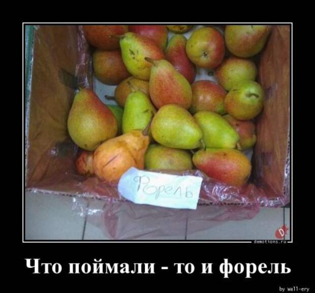 Свежая порция демотиваторов для отличного настроения