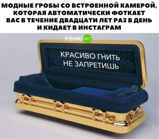 П - понты, и люди, которых они забавляют П - понты, и люди, которых они забавляют