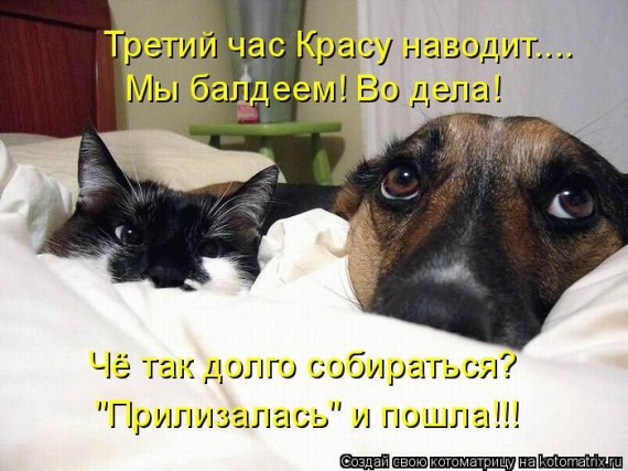 1359321481_96696242_large_3 (570x427, 73Kb)