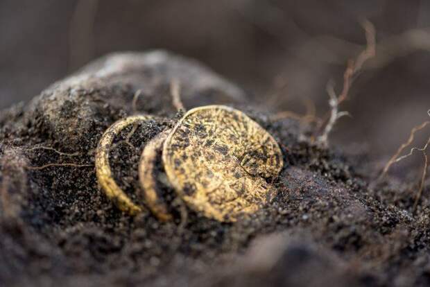 Еще один золотой солид и два женских кольца, найденных в октябре 2017 года Клады, археология, интересно, история, скелеты