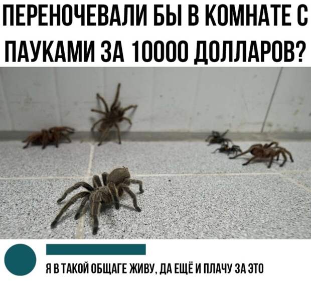 Да хоть сейчас! Да хоть сейчас!
