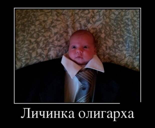Обо всём.