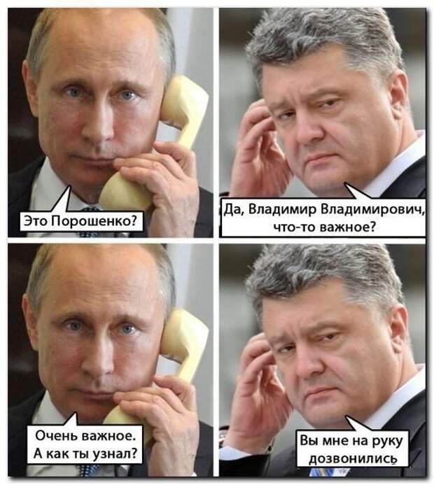 Картинки с забавными подписями