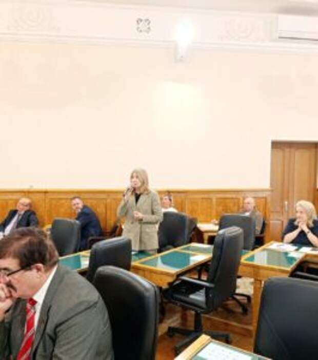 Бизнес-омбудсмен Карелии поддержала включение региона в эксперимент по легализации гостевых домов