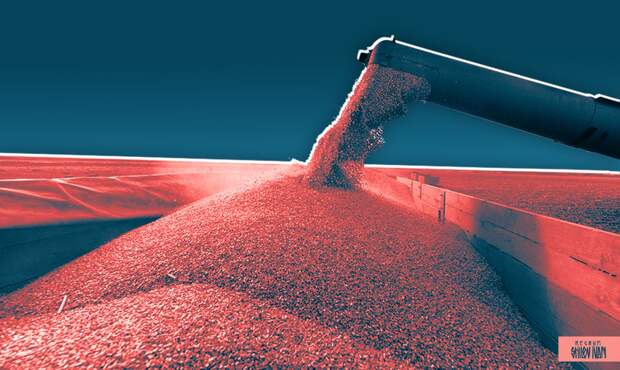 Глава МИД Израиля назвал голословными обвинения Украины по закупке зерна