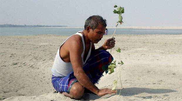 40 лет каждый день мужчина сажает на острове деревья, спасая его от исчезновения 