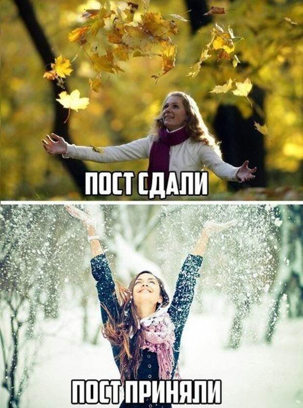 Смешные фотомемы