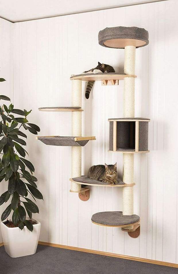 Квартирные идеи для кошек: 36 идей доказать, что они - члены вашей семьи