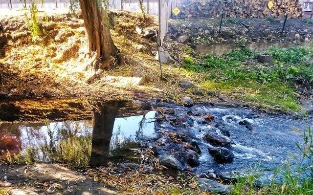 Этот снимок выглядит как коллаж из четырёх разных фото Этот снимок выглядит как коллаж из четырёх разных фото