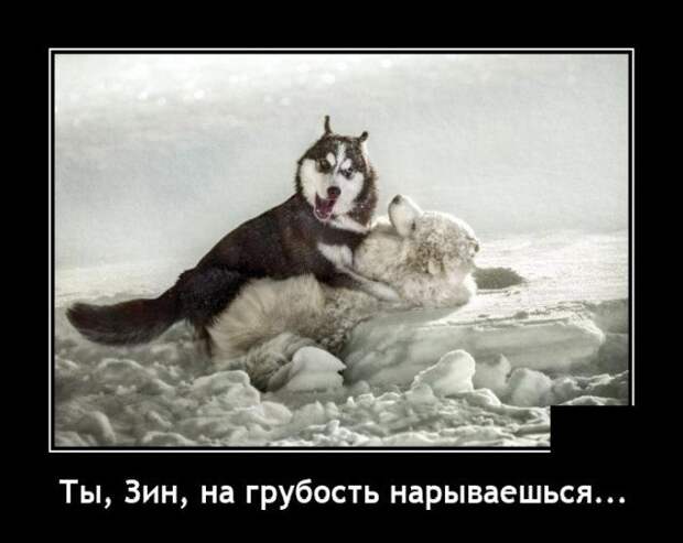 Демотиватор про ссору