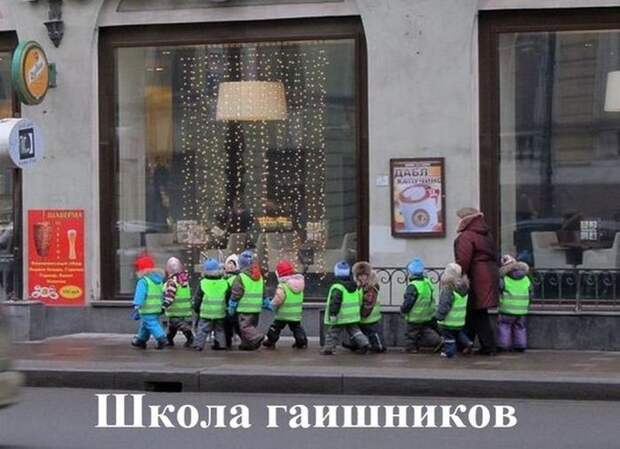Подборка веселых картинок с подписями (20 фото)
