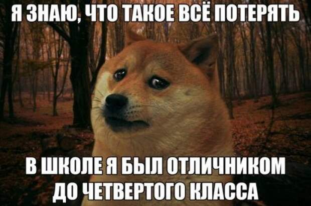 Смешные фотомемы