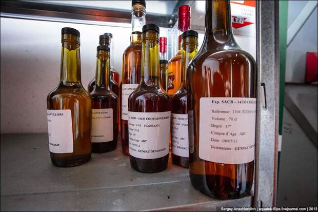 Как делают кальвадос в Нормандии calvados29 Как делают кальвадос в Нормандии