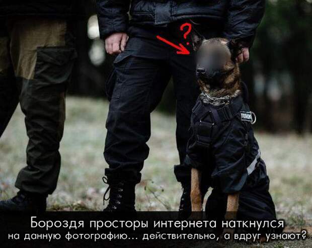 Новогодние приколы