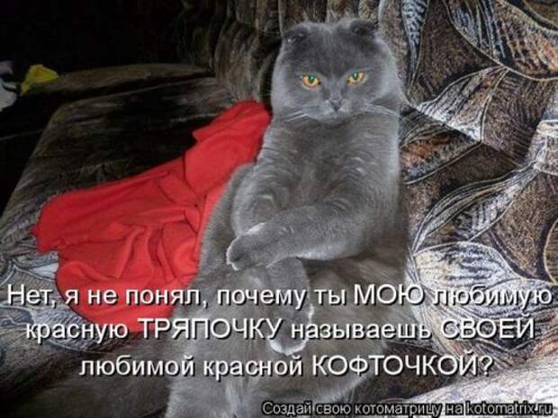 Милая котоматрица