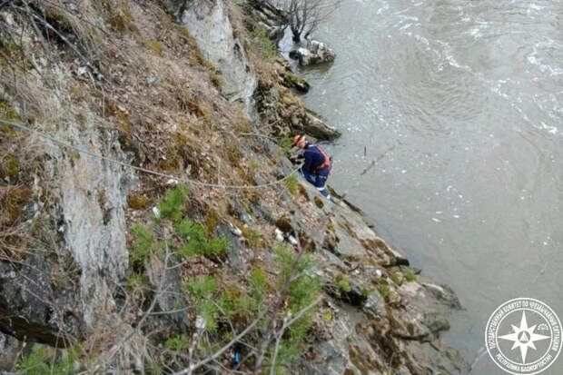 Сплавляющегося по реке на бревне щенка спасли в российском регионе
