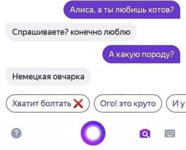 1592542729_11.jpg
