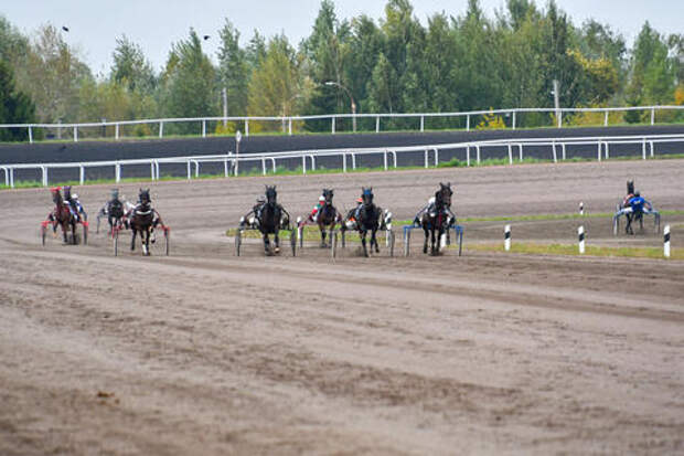 Известный бизнесмен и кубанский депутат Юнанов оспорит изъятие ипподрома на юге России