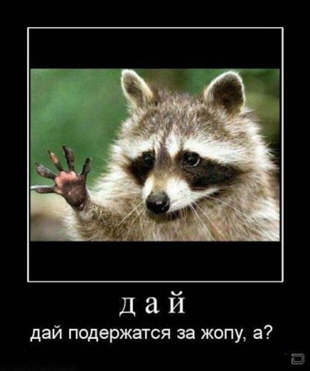 Есть свободная минутка? Удели ее смешным демотиваторам.