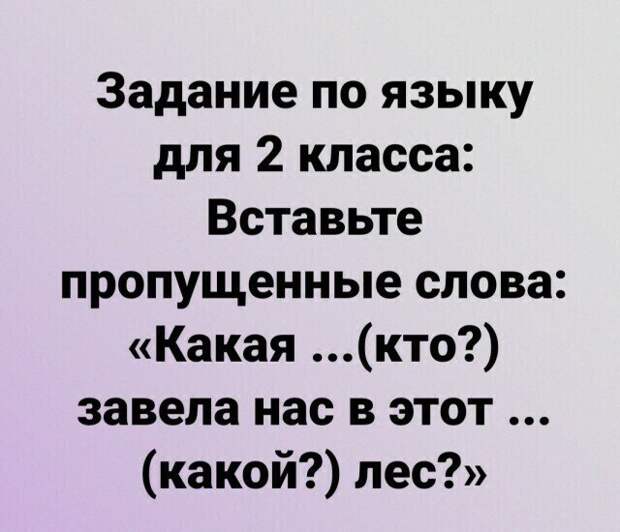 Картинка из интернета