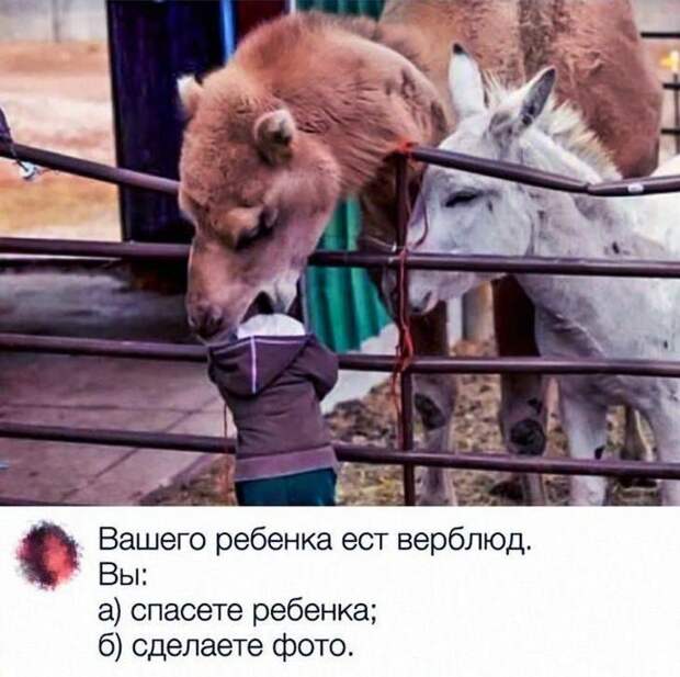 Что вы сделаете? Что вы сделаете?