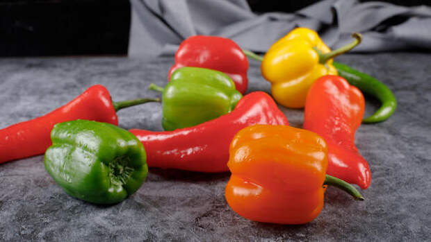 Февральские перцы тянутся к солнцу: когда сеять крепкую и урожайную рассаду