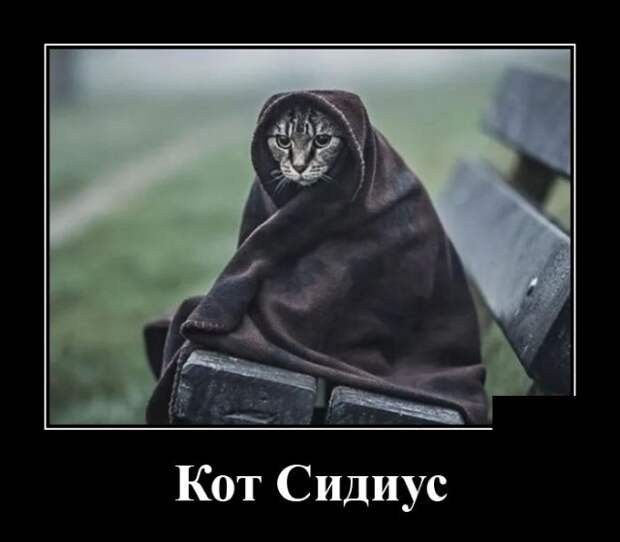 Демотиваторы (20 фото)