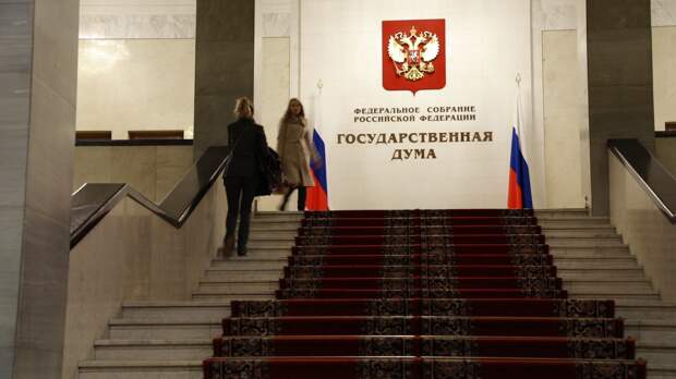 В ГД внесли законопроект, ужесточающий уголовное уголовное наказание за нарушения санитарных норм в детских лагерях