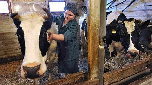 Рентабельность содержания коровы в личном хозяйстве: детальный финансовый анализ