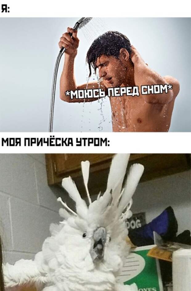 www.vsyako.net