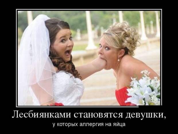 Демотиваторы (30 фото)