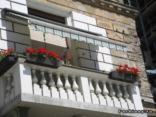 проверенные маркизеты...