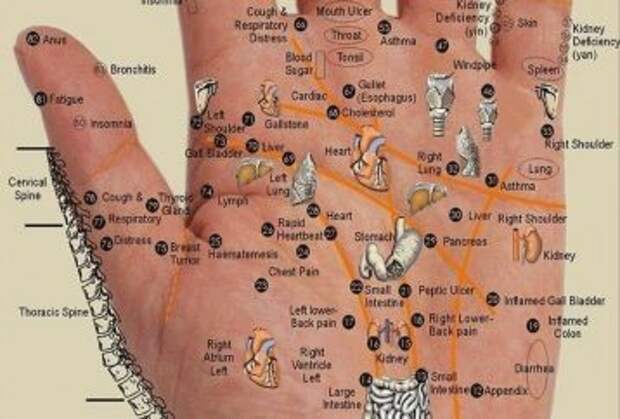 press-these-points-for-wherever-you-have-pain-every-body-part-is-in-the-palm-of-your-hand-358x242