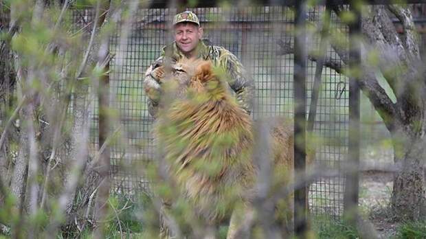 В парке «Тайган» рассказали о состоянии пострадавшего от нападения льва Зубкова