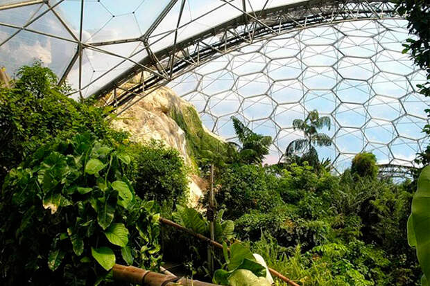 Райский сад