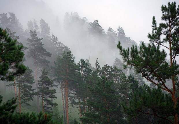 Появились подробности о поисках пропавших в тайге Усольцевых