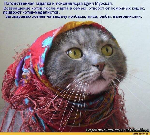 Потомственная гадалка и ясновидящая Дуня Мурская. Возвращение котов после марта в семью, отворот от помойных кошек, приворот котов-медалистов. Заговариваю хозяев на выдачу колбасы, мяса, рыбы, валерьяновки.,котоматрица,ясновидящая,песочница