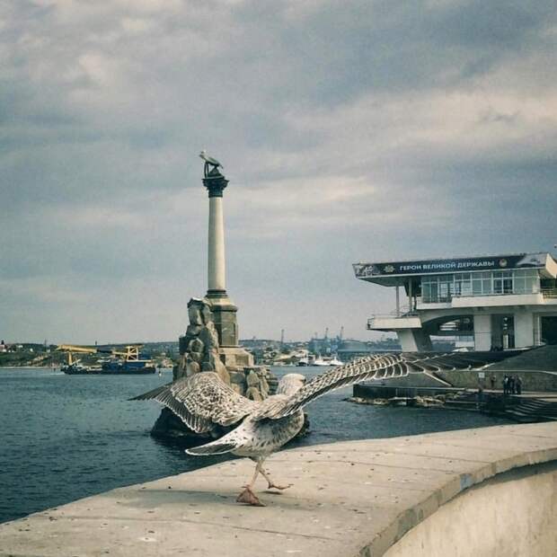 Фотоподборка