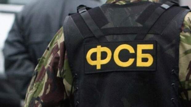 ФСБ задержала челябинца, угрожавшего безопасности РФ в сети