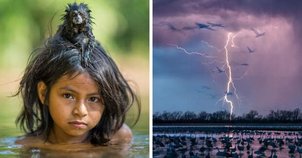 50 лучших снимков года по версии журнала National Geographic national geographic, журнал, мир, фотография